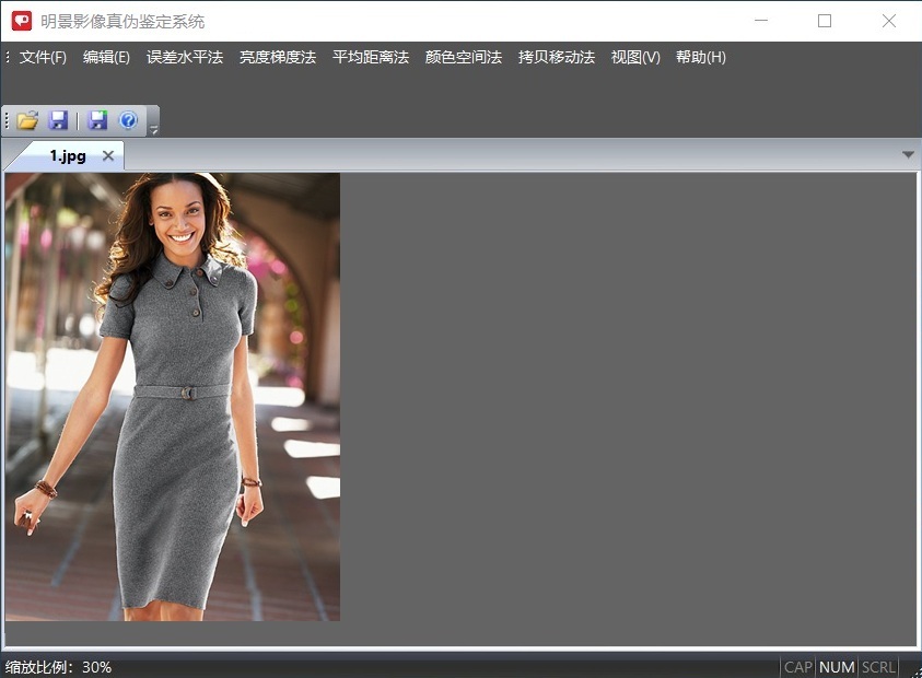谈球吧官网影像真伪鉴定系统