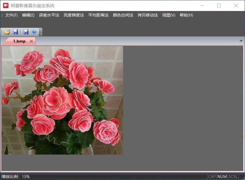 谈球吧官网影像真伪鉴定系统