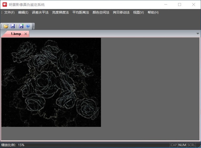 谈球吧官网影像真伪鉴定系统